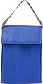 Cooler/lunch bag. Cobalt blue