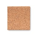 Cork memo pad