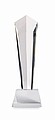 Crystal award in a gift box