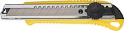 Cutter with removable blade