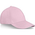 Darton 6 panel sandwich cap