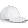Davis 6 panel cap