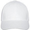 Davis 6 panel cap