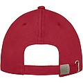 Davis 6 panel cap