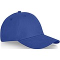 Davis 6 panel cap