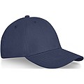 Davis 6 panel cap