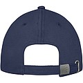 Davis 6 panel cap