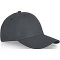 Davis 6 panel cap