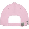 Davis 6 panel cap