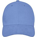 Davis 6 panel cap