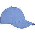 Davis 6 panel cap