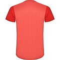 Detroit short sleeve unisex sports t-shirt, red, size S