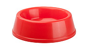 dog bowl