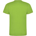 Dogo Premium short sleeve kids t-shirt, oasis green