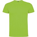 Dogo Premium short sleeve mens t-shirt, oasis green