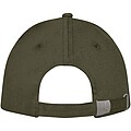 Doyle 5 panel cap, forest green