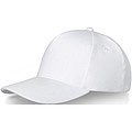 Doyle 5 panel cap