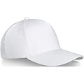 Doyle 5 panel cap