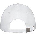 Doyle 5 panel cap