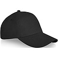 Doyle 5 panel cap