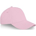 Doyle 5 panel cap