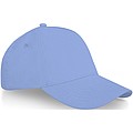 Doyle 5 panel cap