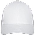 Drake 6 panel trucker cap
