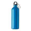 Drinking bottle 750 ml, blue