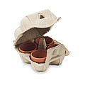 Egg carton growing kit MO6886-13