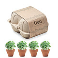 Egg carton growing kit MO6886-13