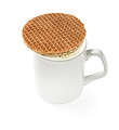 Eight delicious Dutch waffles.