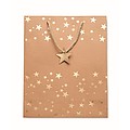Elegant gift kraft paper bag