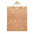Elegant gift kraft paper bag