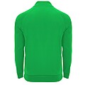 Epiro long sleeve kids quarter zip sweatshirt, green fern, size 16