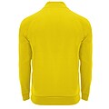 Epiro long sleeve kids quarter zip sweatshirt, yellow, size 8