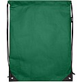 Evergreen GRS recycled non-woven drawstring bag 5L, green
