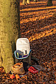 Explorer portable outdoor cooler bag