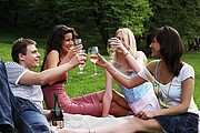 Fleece picnic and sofa blanket