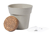flower pot
