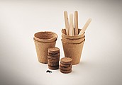 Flowers growing kit