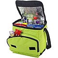 Foldable cooler bag apple grn