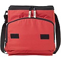Foldable cooler bag red