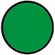 Foldable frisbee with a polyester case, green