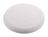 frisbee