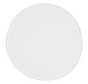 frisbee