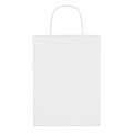 Gift paper bag medium size