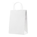 Gift paper bag medium size