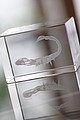 glass block