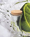 Glass Carafe with cork lid