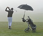 Golf umbrella with windscreen